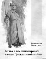 скачать книгу Битва с внешним врагом в годы Гражданской войны автора Константин Колонтаев