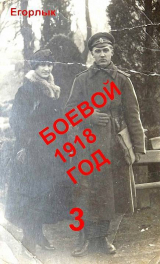 скачать книгу Боевой 1918 год-3 (СИ) автора Владислав Конюшевский
