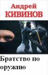 скачать книгу Братство по оружию автора Андрей Кивинов