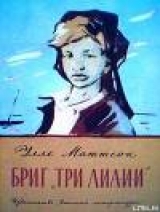 скачать книгу Бриг «Три лилии» автора Уле Маттсон