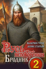 скачать книгу Бродник (СИ) автора Денис Старый
