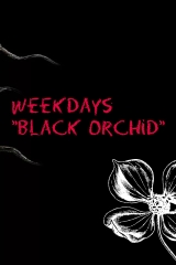 скачать книгу Будни «Чёрной орхидеи» (СИ) автора Dita von Lanz