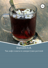 скачать книгу Чаи, кофе и квасы из дикорастущих растений автора Евгений Бородин