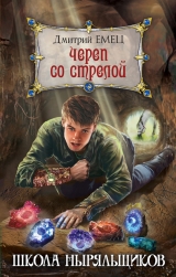 скачать книгу Череп со стрелой автора Дмитрий Емец