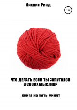 скачать книгу Что делать, если ты запутался в своих мыслях? автора Михаил Ринд