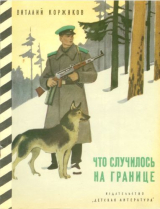 скачать книгу Что случилось на границе автора Виталий Коржиков