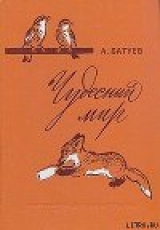 скачать книгу Чудесный мир автора Андрей Батуев