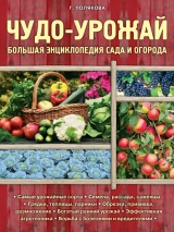 скачать книгу Чудо-урожай. Большая энциклопедия сада и огорода автора Галина Полякова