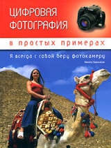 скачать книгу Цифровая фотография в простых примерах автора Никита Биржаков