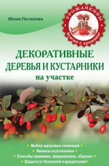 скачать книгу Декоративные деревья и кустарники на участке автора Юлия Потапова