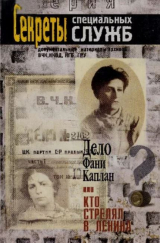 скачать книгу Дело Фани Каплан, или Кто стрелял в Ленина (сборник документов) автора Сборник Сборник