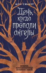 скачать книгу День, когда пропали ангелы автора Шон Смакер
