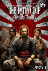 скачать книгу Десять лет спустя. Затерянный во времени (СИ) автора Вадим Чинцов