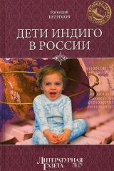 скачать книгу Дети индиго в России автора Геннадий Белимов
