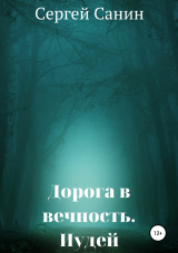 скачать книгу Дорога в вечность. Иудей автора Сергей Санин