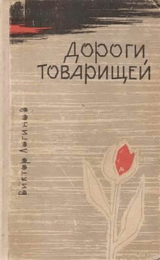 скачать книгу Дороги товарищей автора Виктор Логинов
