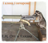 скачать книгу Е.Н. Отт и Ехидна (СИ) автора Галина Гончарова