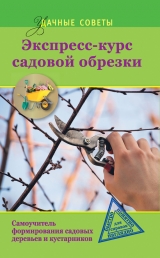 скачать книгу Экспресс-курс садовой обрезки автора Ирина Окунева