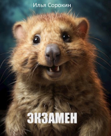 скачать книгу Экзамен (СИ) автора Илья Сорокин