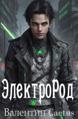 скачать книгу ЭлектроРод (СИ) автора Валентин Cactus