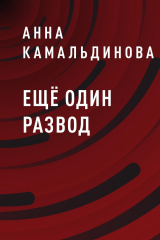 скачать книгу Ещё один развод автора Анна Камальдинова