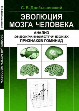 скачать книгу Эволюция мозга человека: Анализ эндокраниометрических признаков гоминид автора Станислав Дробышевский