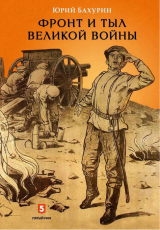 скачать книгу Фронт и тыл Великой войны автора Юрий Бахурин