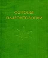 скачать книгу Голосеменные и покрытосеменные автора Юрий Орлов