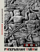 скачать книгу Города раскрывают тайны автора Анатолий Варшавский