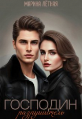 скачать книгу Господин Разрушитель (СИ) автора Марина Лётная