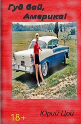 скачать книгу Гуд бай, Америка! (СИ) автора Юрий Цой