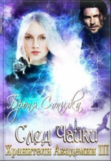скачать книгу Хранители Академии. След Чайки (СИ) автора Броня Сопилка