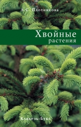 скачать книгу Хвойные растения автора Лилиан Плотникова