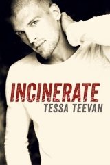 скачать книгу Incinerate автора Tessa Teevan