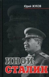 скачать книгу Иной Сталин автора Юрий Жуков