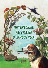 скачать книгу Интересные рассказы о животных автора Н. Рудакова