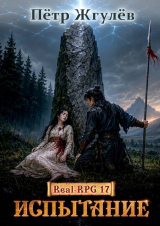 скачать книгу Испытание (СИ) автора Пётр Жгулёв