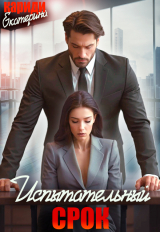 скачать книгу Испытательный срок (СИ) автора Екатерина Кариди