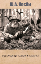 скачать книгу Как младенцы плачут в темноте (ЛП) автора Ш. А. Косби