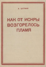 скачать книгу Как от искры возгорелось пламя автора Александр Шотман