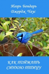 скачать книгу Как поймать синюю птицу (СИ) автора Джордж Чаус