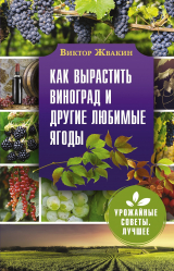 скачать книгу Как вырастить виноград и другие любимые ягоды автора Виктор Жвакин