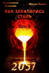 скачать книгу Как закалялась сталь - 2057. Том 3 (СИ) автора Ринат Мусин