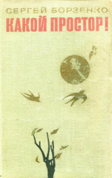 скачать книгу Какой простор! Книга вторая: Бытие автора Сергей Борзенко