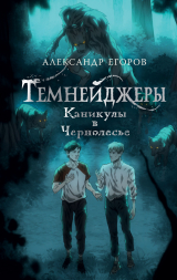 скачать книгу Каникулы в Чернолесье автора Александр Егоров