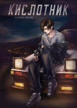 скачать книгу Кислотник (СИ) автора Александр Оврелли