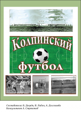 скачать книгу Колпинский футбол автора Анастасия Долгошева