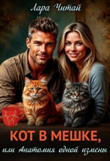 скачать книгу Кот в мешке, или Анатомия одной измены (СИ) автора Лара Читай