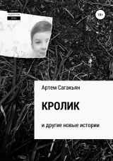 скачать книгу Кролик и другие новые истории автора Артем Сагакьян