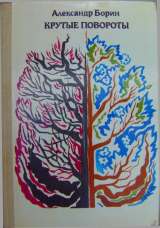 скачать книгу Крутые повороты автора Александр Борин